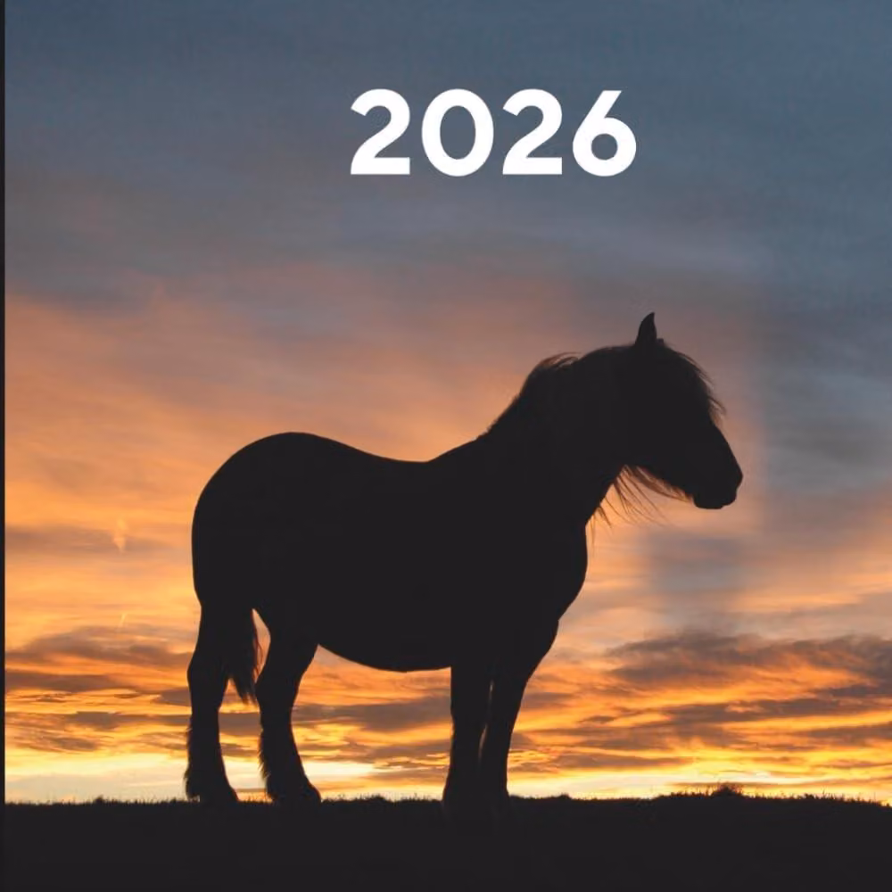 Calendario settimanale 2026 – Con sezione per le attività da svolgere e spazio per la riflessione