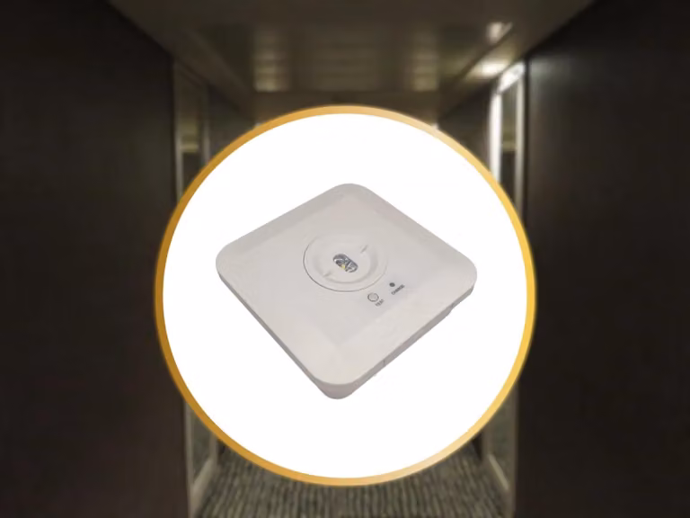 Lampada di emergenza a LED NEDES, 2W / 3 ore / IP65 - LEL602