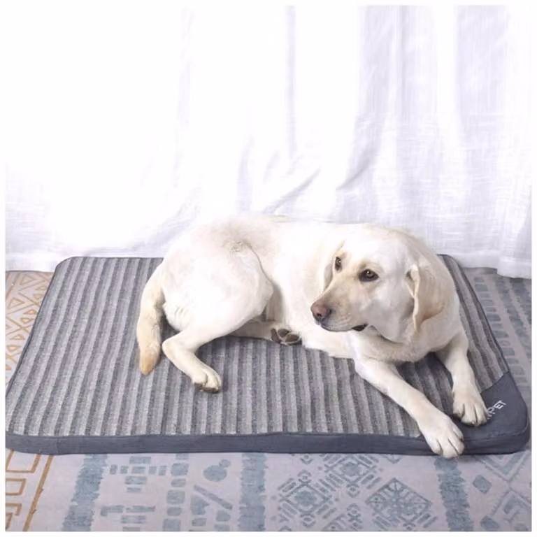 Tappetino ortopedico per cani, cuccia in memory foam, colore grigio, taglia L (53x42x4 cm)