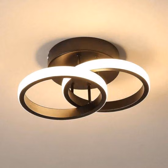 Moderna plafoniera rotonda a LED con 2 punti luce, luce bianca calda, 22 W