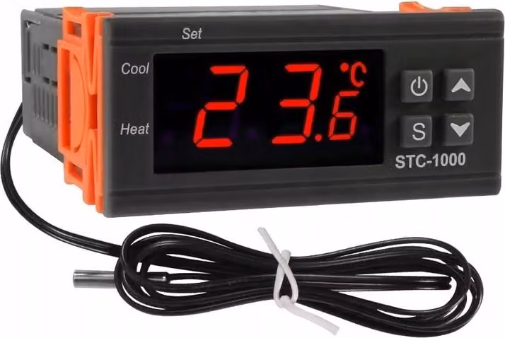 Termostato LED Regolatore di temperatura Interruttore Regolatore Termometro 24V DC