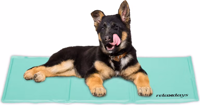 relaxdays Tappeto refrigerante turchese per cani