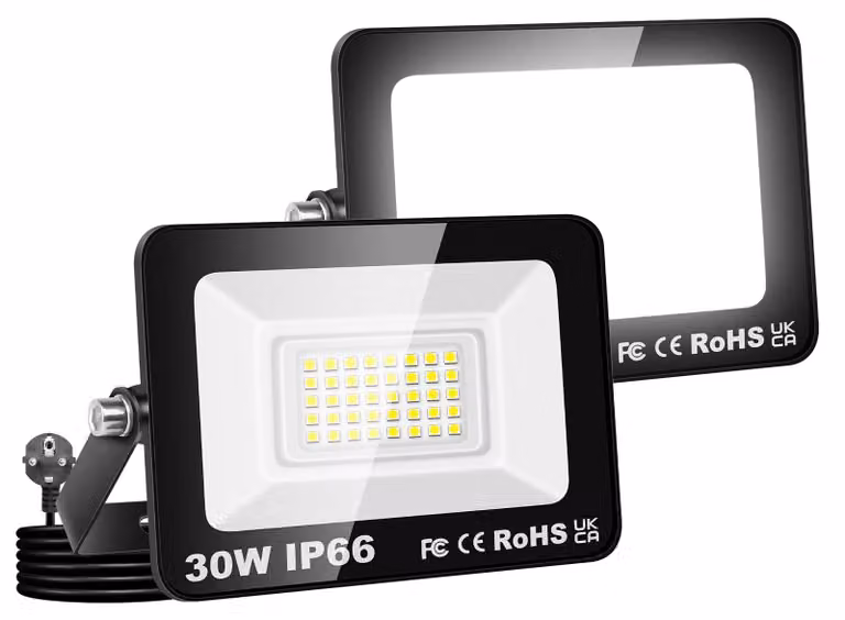 Faretto a LED da 30 W, 6000 K, bianco freddo, grado di protezione IP66, con spina