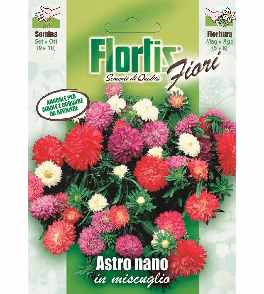 Flortis Semi Aster Nano Mix Pianta Tappezzante Multicolore 40-60 cm