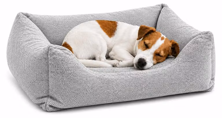 Cuccia per cani - Cuccia per gatti, ortopedica - Modello Baleno, rettangolare, grigia - 65 x 50 x 20 cm - Taglia M