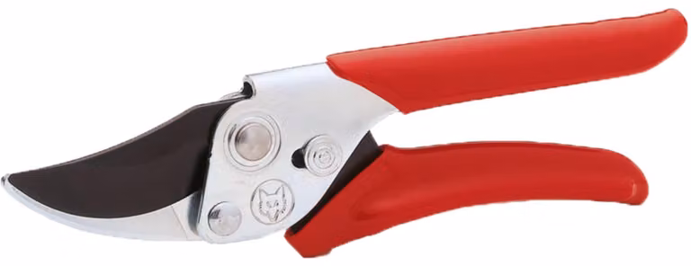 Azione forbici Wolf RR-EN
