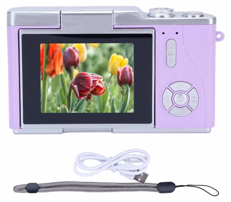 Fotocamera digitale 1080p 48 MP Display HD da 2,4 pollici Zoom elettronico 8x Video Viola