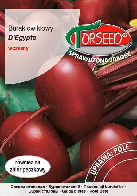 Barbabietola D'Egypte 15g
