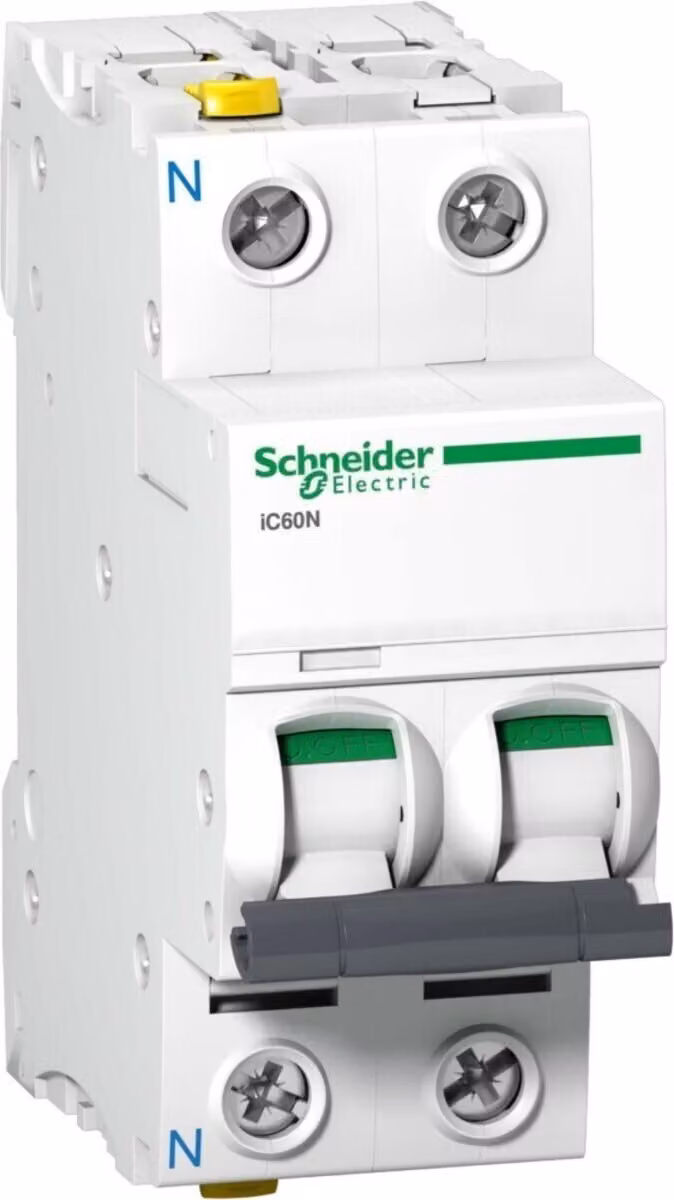Interruttore LS Schneider Electric A9F04604