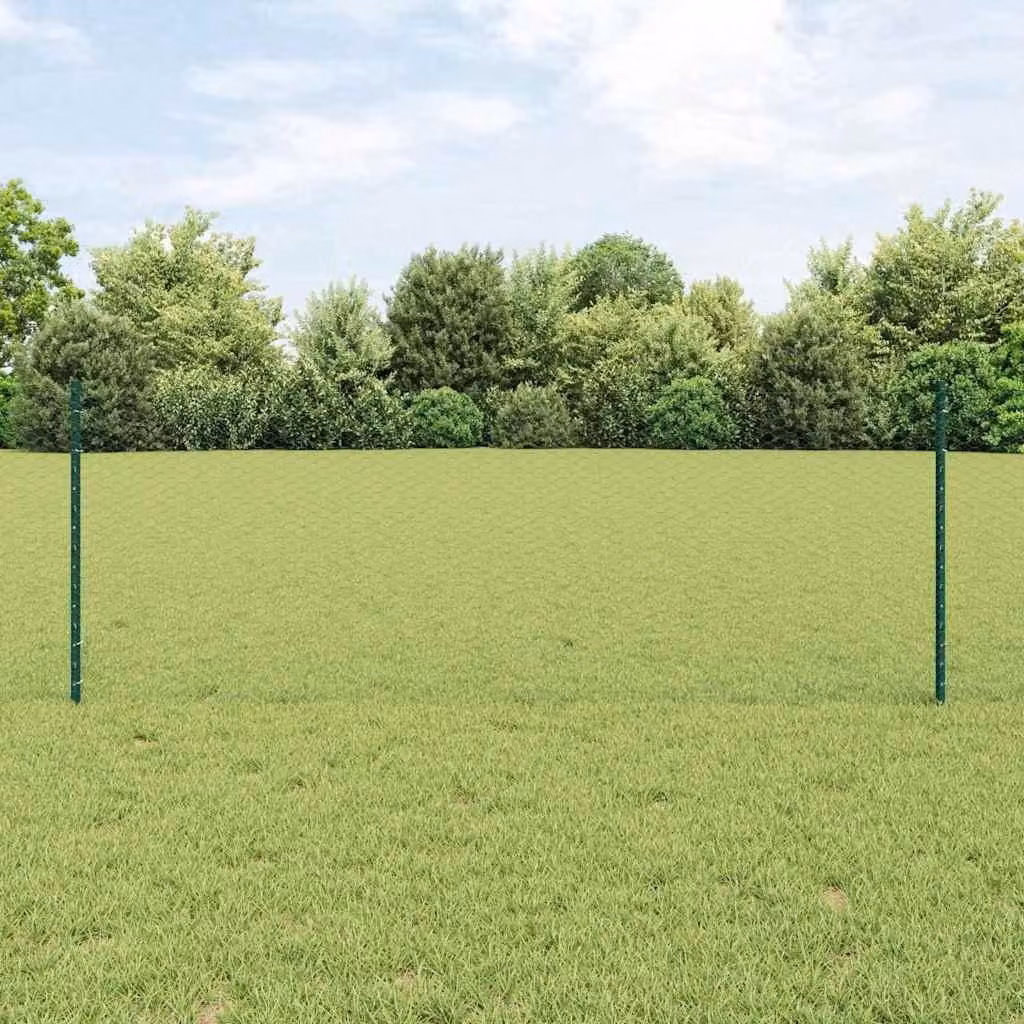 Maison Exclusive - Recinzione con Posto Verde 0,8 x 10 m Acciaio e PVC