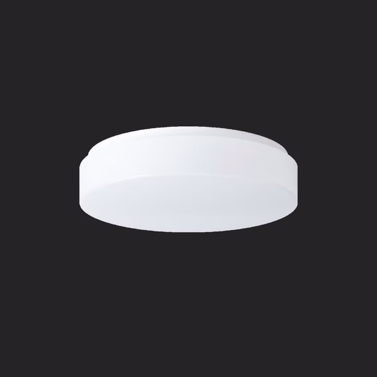 OSMONT DEL53322 DELIA 1 apparecchio da soffitto/parete in plastica IP54 3000 K 19W LED combinazione di emergenza 3 h