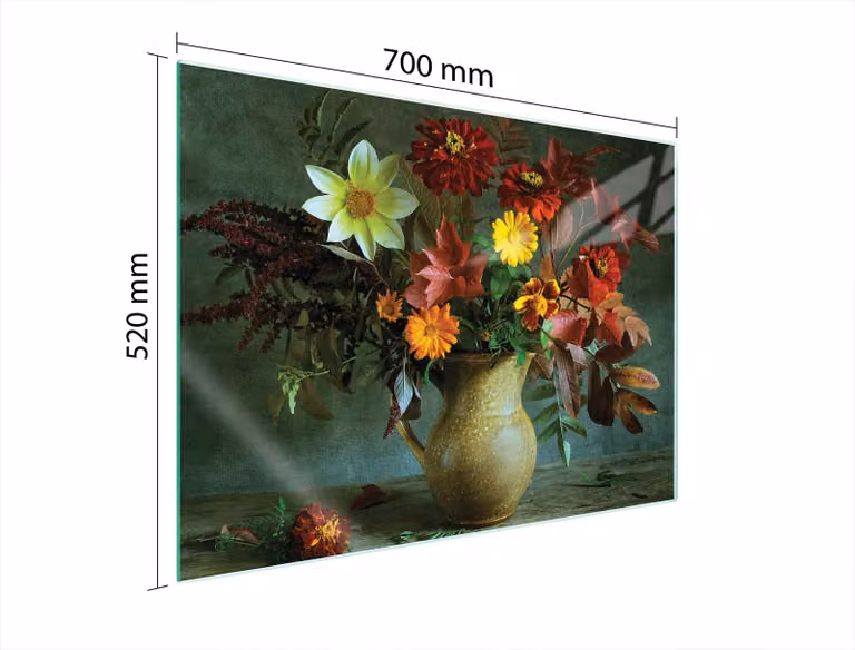 Piastra Di Protezione In Vetrina Per Fiori Di Erba 70X52