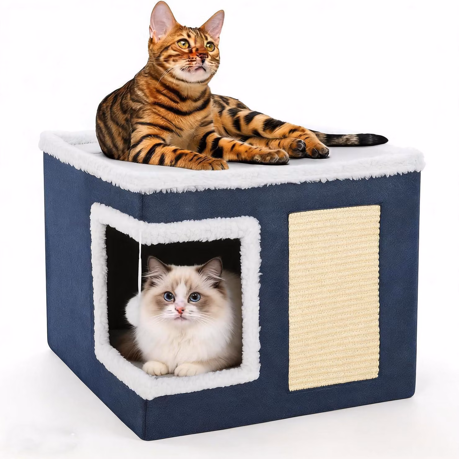 Tana pieghevole per gatti con tiragraffi e pallina giocattolo, colore blu, taglia S