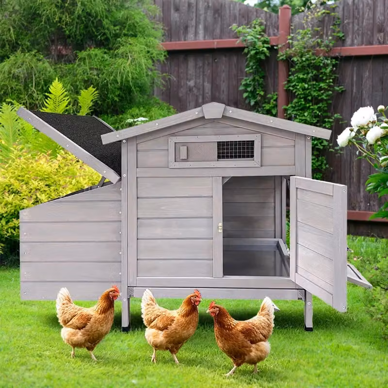 Gabbia per galline Rialzata REDOM in legno Grigio Chiaro L: 72 cm, P: 60 cm, H: 25,5 cm – 2