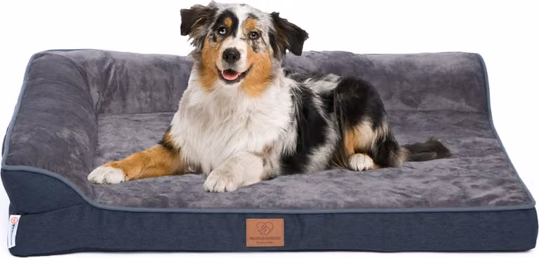 Letto ortopedico premium per cani con schiuma d'uovo, cinghia extra, rivestimento interno impermeabile, divano per cani, cuscino per cani, soffice, rivestimento sfoderabile, lavabile, 89 x 63 x 17 cm, grigio scuro (XL)