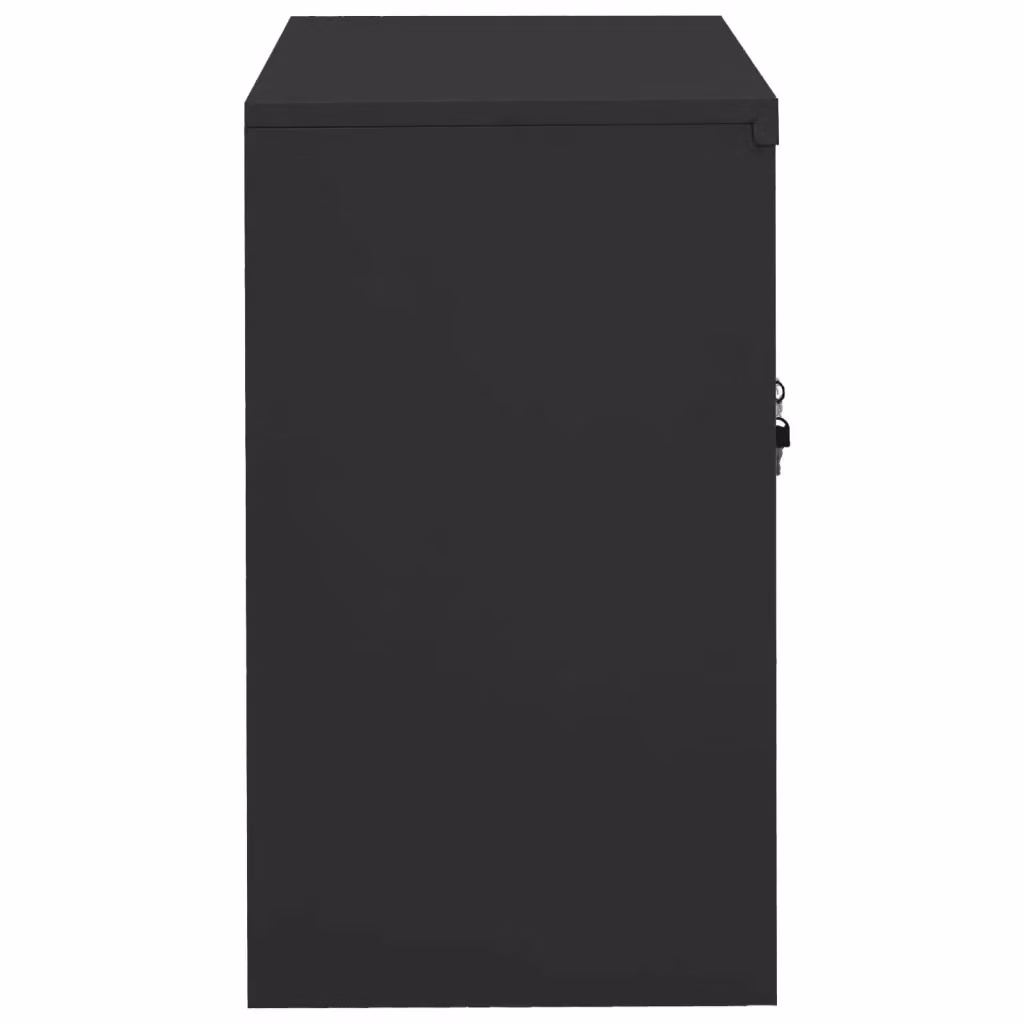 Armadio da ufficio moderno vidaXL in metallo e vetro color antracite con ante in vetro e serratura, L: 90 cm, P: 40 cm, H: 70 cm – 2
