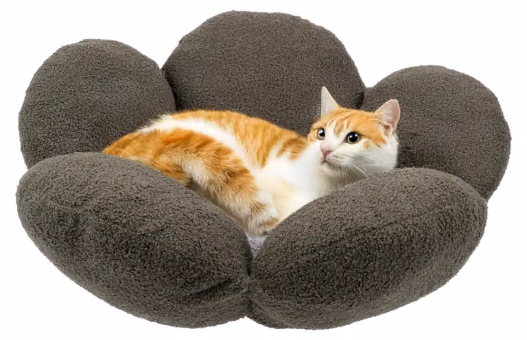 Cuscino per cuccia per cani Ferplast, adatto anche per gatti, realizzato in tessuto sintetico lavabile