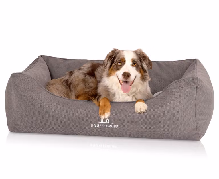 Letto ortopedico per cani Knuffelwuff con cuscino reversibile, modello Baltimore, 120x80 cm, colore grigio