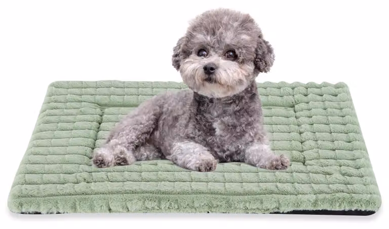 Cuccia per cani con imbottitura in memory foam antiscivolo, dimensioni 76 x 50 cm, lavabile, adatta a cani di piccola e media taglia