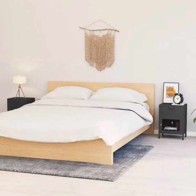 Comodini 2 pz Antracite 40x30x54,5 cm in Acciaio e Vetro 3095204