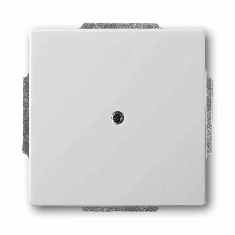 Piastra del centro Busch-Jaeger eds 1749-866 2CKA001710A3752