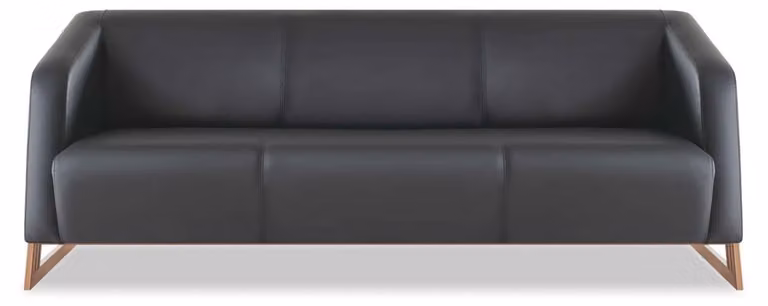 Ledersofa 3-Sitzer Modern Schwarz Leder Holz Dreisitzig Couch Armlehnen