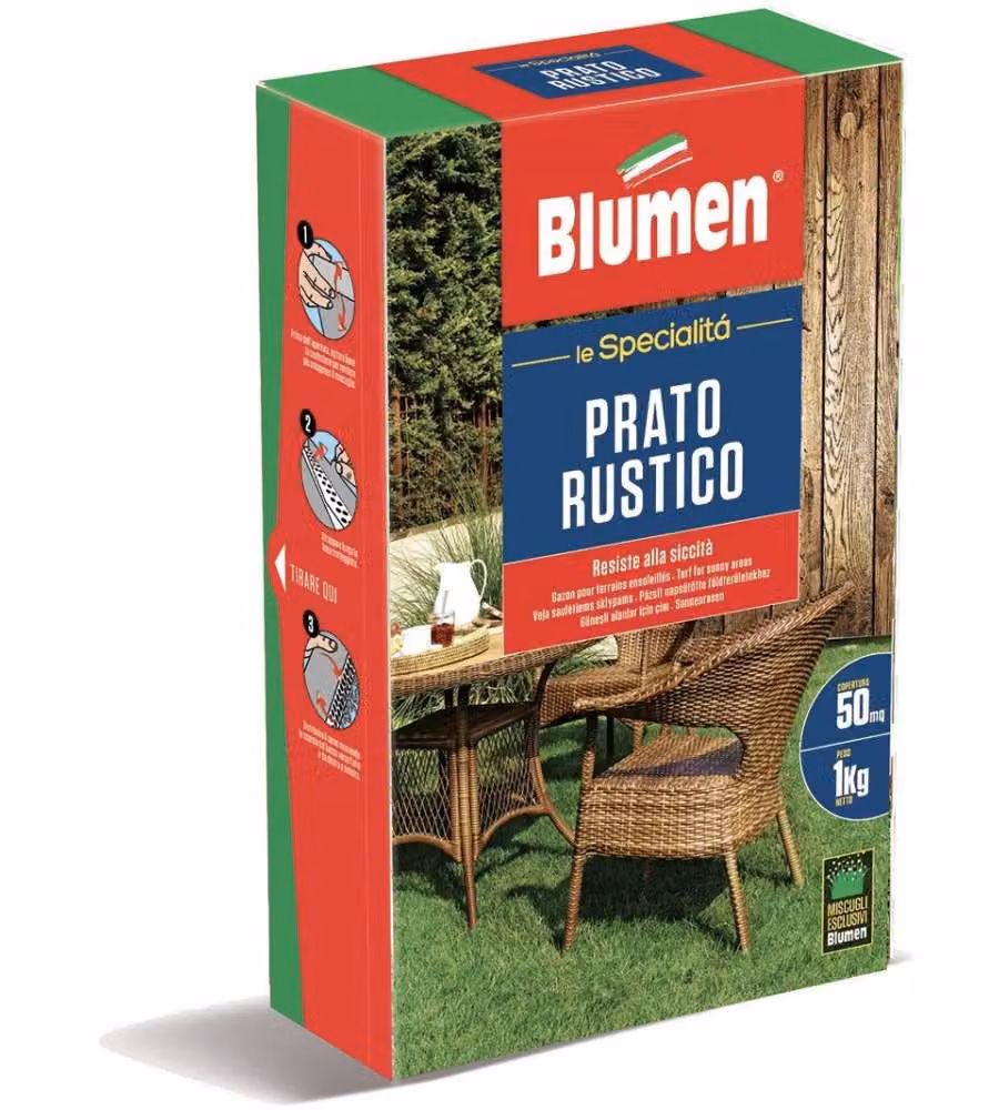 Blumen Prato Rustico miscuglio sementi 1 kg per manto erboso resistente