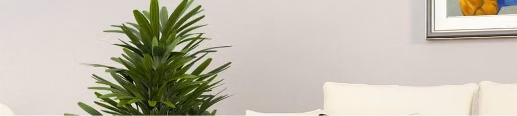 Maison Exclusive - Tavolino da salotto grigio Sonoma 80x80x36,5 cm Materiale ligneo