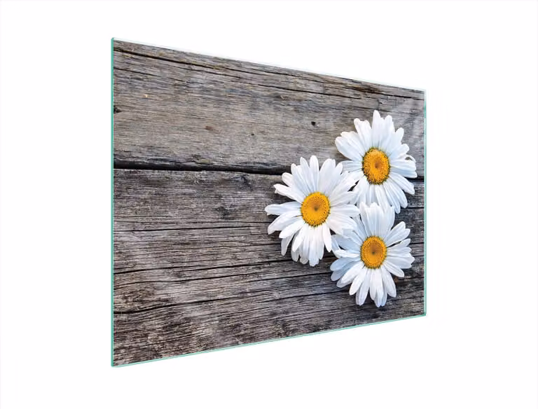 Piastra Protettiva In Vetro Per Levatori 70X52 Daisy