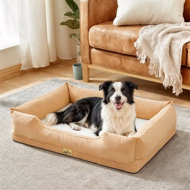 WISFOR Lettino per cani, divanetto per cani, cuscino per cani, bordi rialzati, rivestimento impermeabile e lavabile, sfoderabile, XL: 105x75,5x21 cm, beige