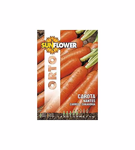 Sementi Carota Nantes                    Sunflower
