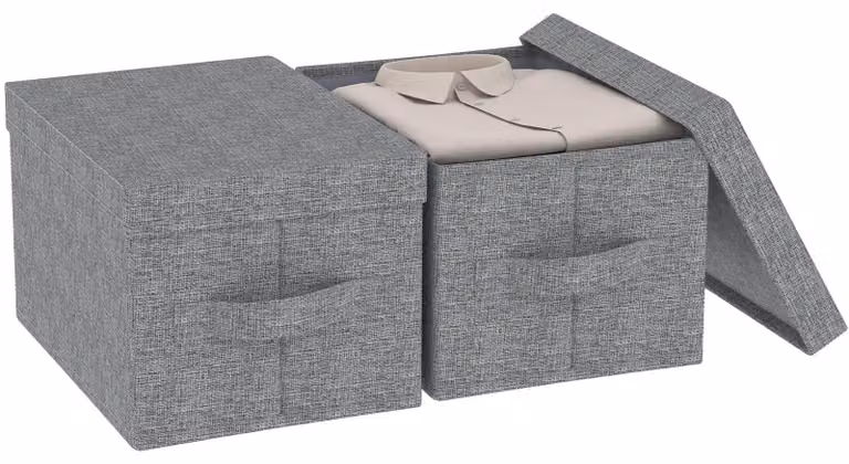 Contenitori di stoccaggio con coperchio, set di 2, 42 x 30 x 26 cm, grigio