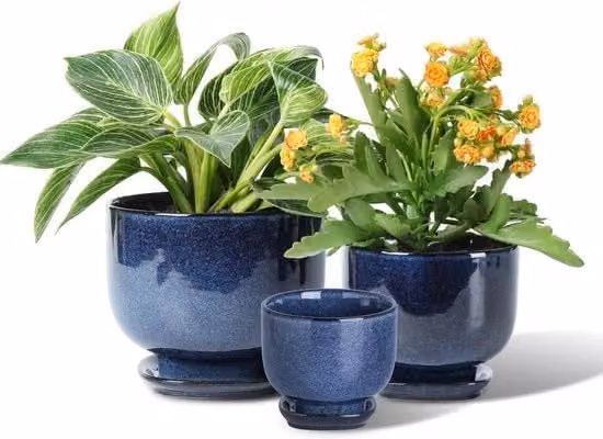 Set di 3 vasi in ceramica Vicrays blu per piante da interno, succulente e fiori