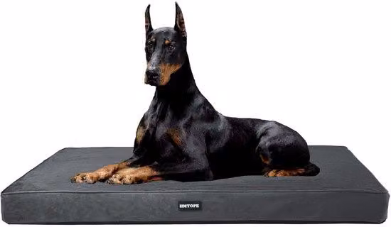 Cuccia ortopedica per cani, spessore 10 cm, grigia, 120 cm