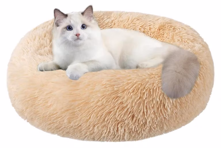 Cuccia rotonda per animali domestici, diametro 60 cm, color pesca, lavabile, antiscivolo, design a ciambella