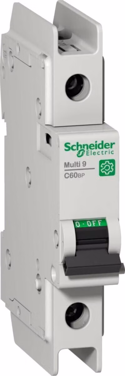 Interruttore LS Schneider Electric Multi 9 OEM M9F42110