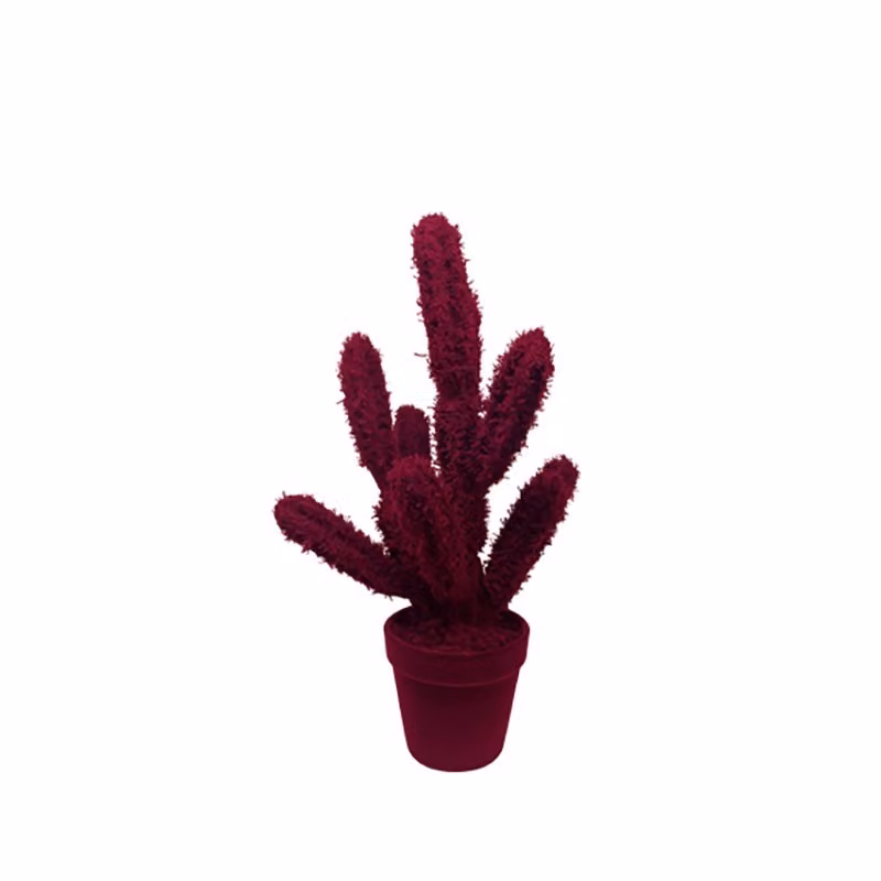 Complemento d'arredo Cactus Long Adriani e Rossi