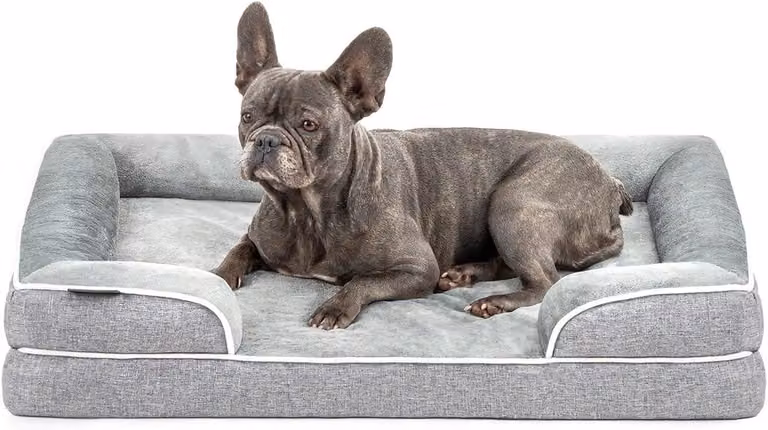 Cuccia ortopedica per cani, con bordo rialzato, dimensioni 89 x 63 x 17 cm, cuscino stabile rivestito in morbido flanella, coprimento removibile e lavabile