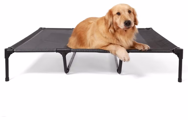 Cuccia rialzata per cani di grossa taglia, da utilizzare all'esterno