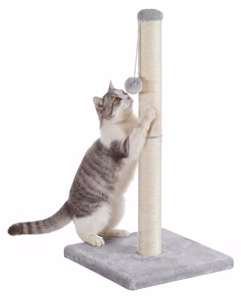 Feandrea, tiragraffi per gatti, colonna rivestita in sisal, con pallina in peluche, dimensioni 40 x 40 x 84 cm