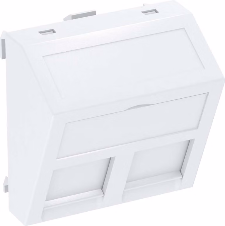 OBO Bettermann supporto tecnologico dati DTS-2ARW (6119238)