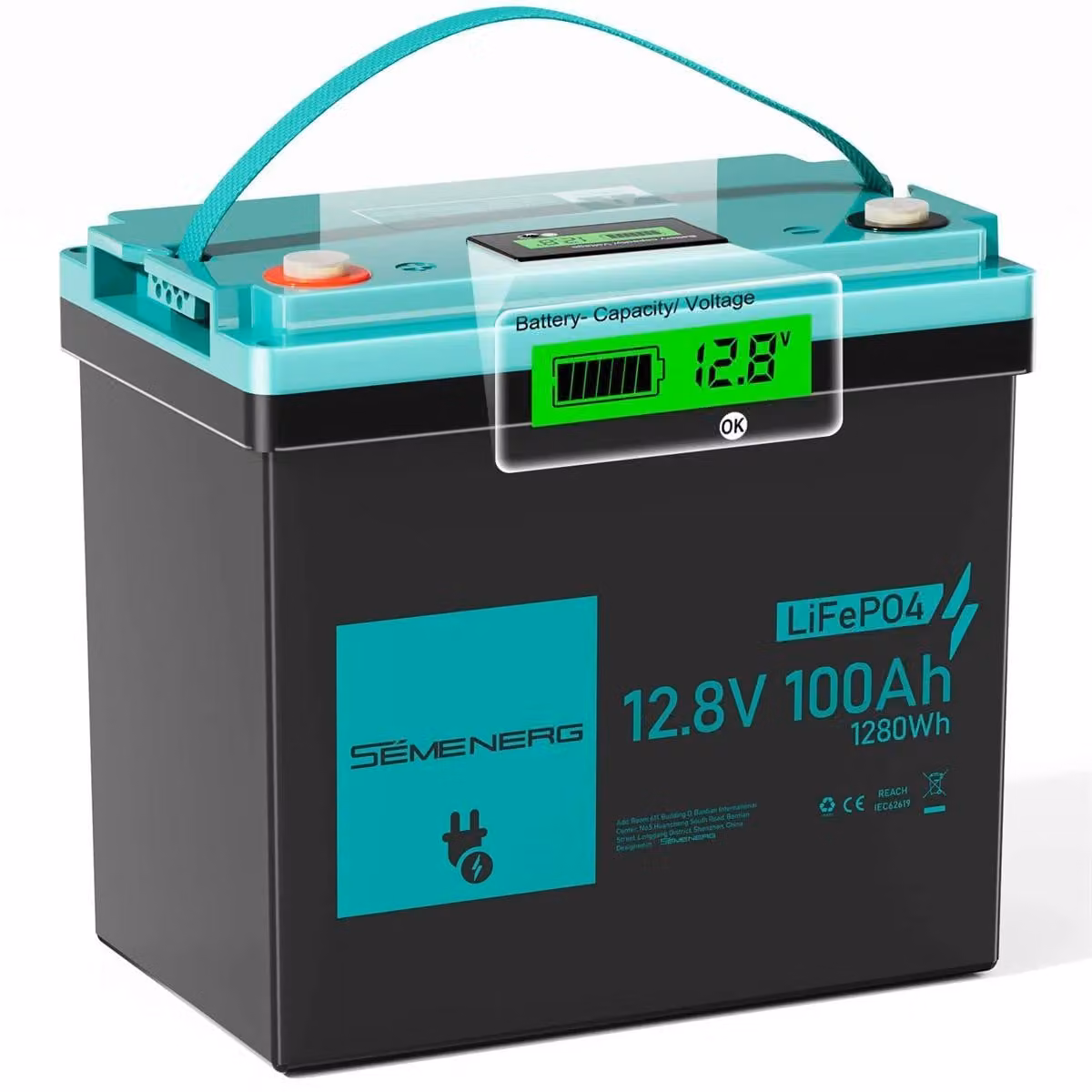 Batteria LiFePO4 da 12,8 V e 100 Ah - Mini accumulatore solare per uso domestico - 1280 Wh - BMS da 100 A - 4000 cicli - Spina UE - Blu