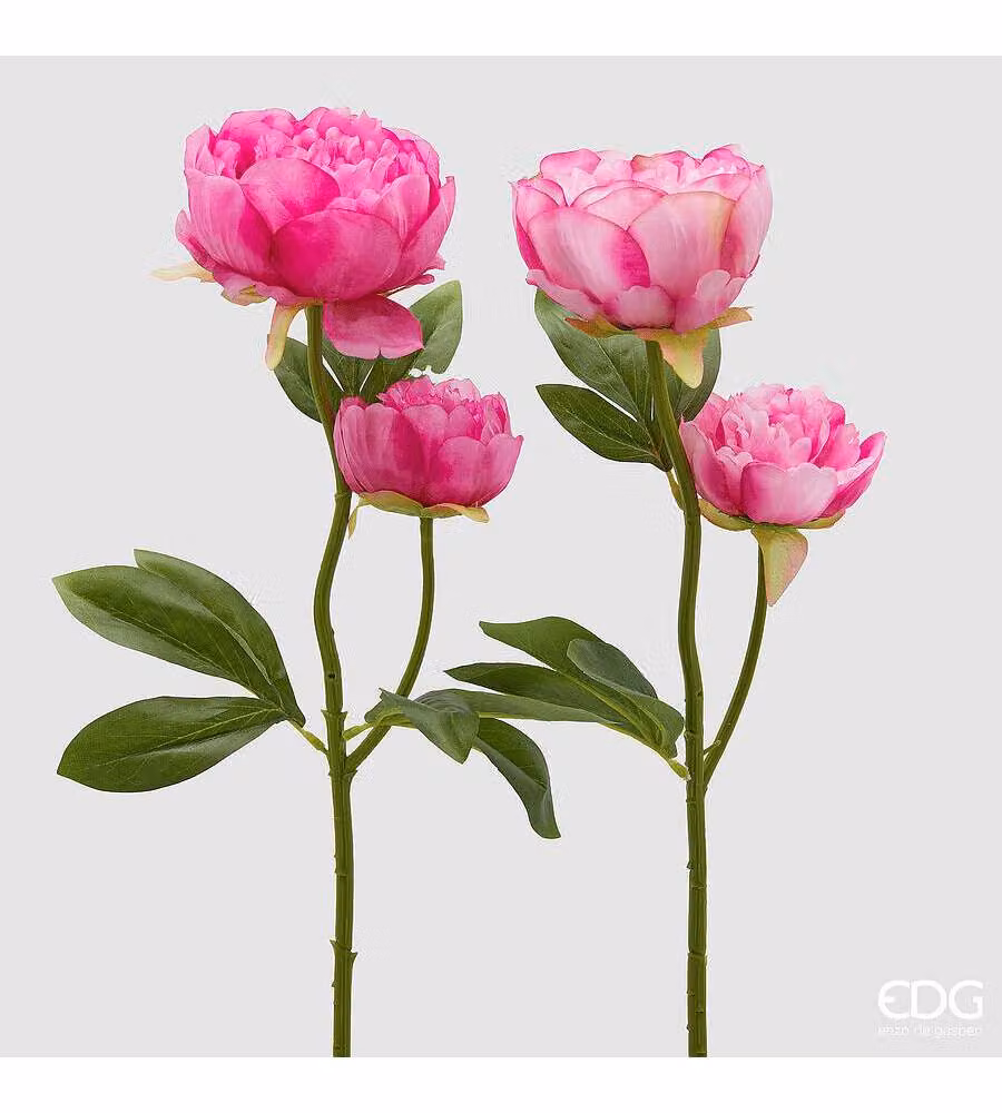 EDG Ramo Peonia x2 H55 Foglie Colore Two Tone Pink