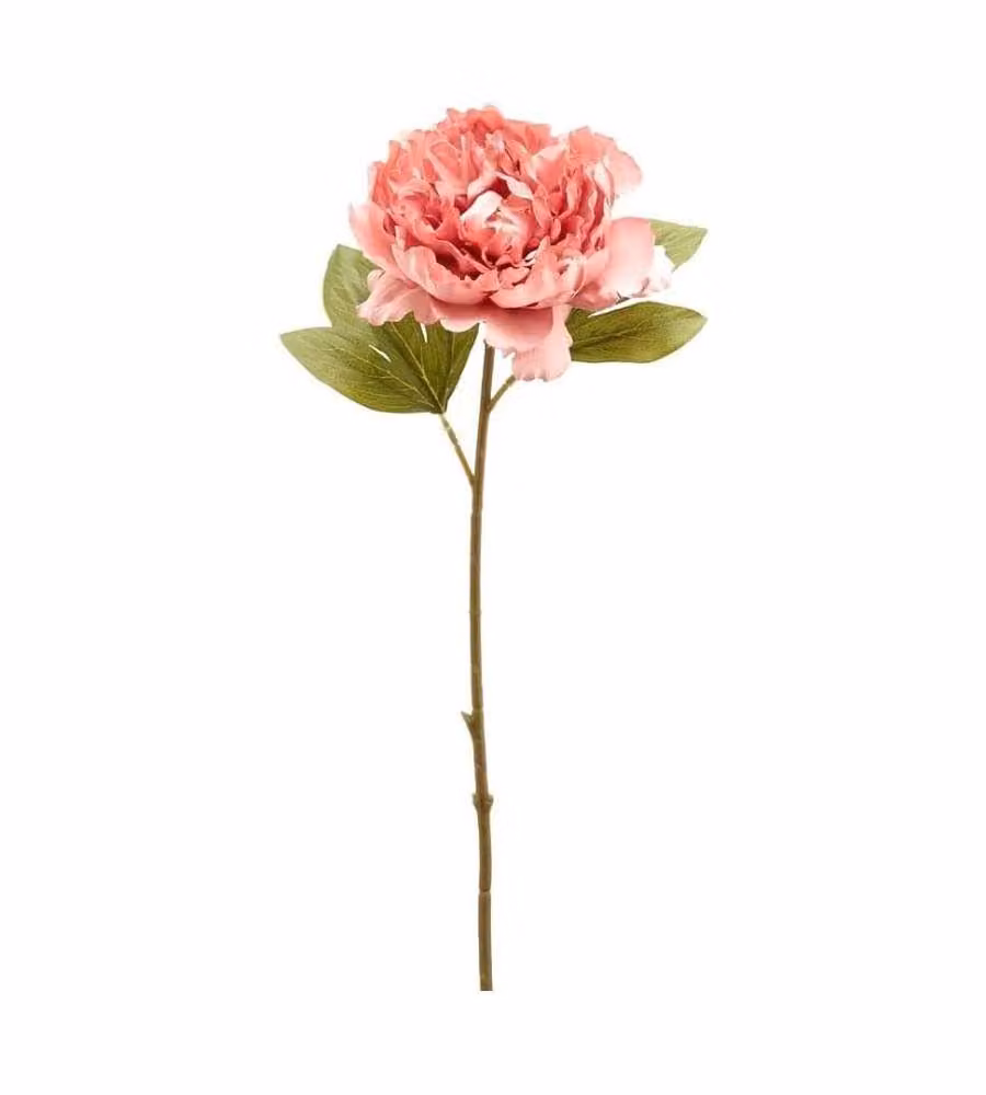 Peonia Epoque ramo da 51 cm color Rosa
