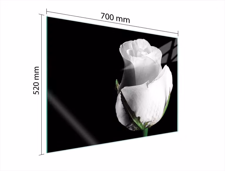 Pannello Protettivo In Vetro Per Levatori 70X52 Rose