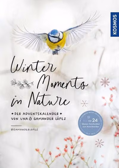 Momenti invernali nella natura - il calendario dell'avvento