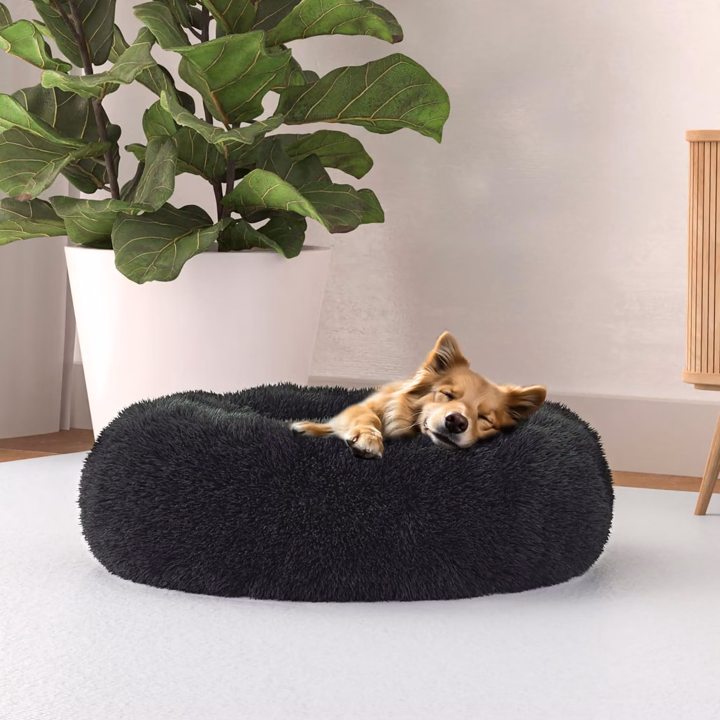 Lenzuolo per letto italiano, cuccia per cani "Dreams", collezione "Sogni e capricci", marca "Pets, Petrolium", dimensioni 50x50 cm