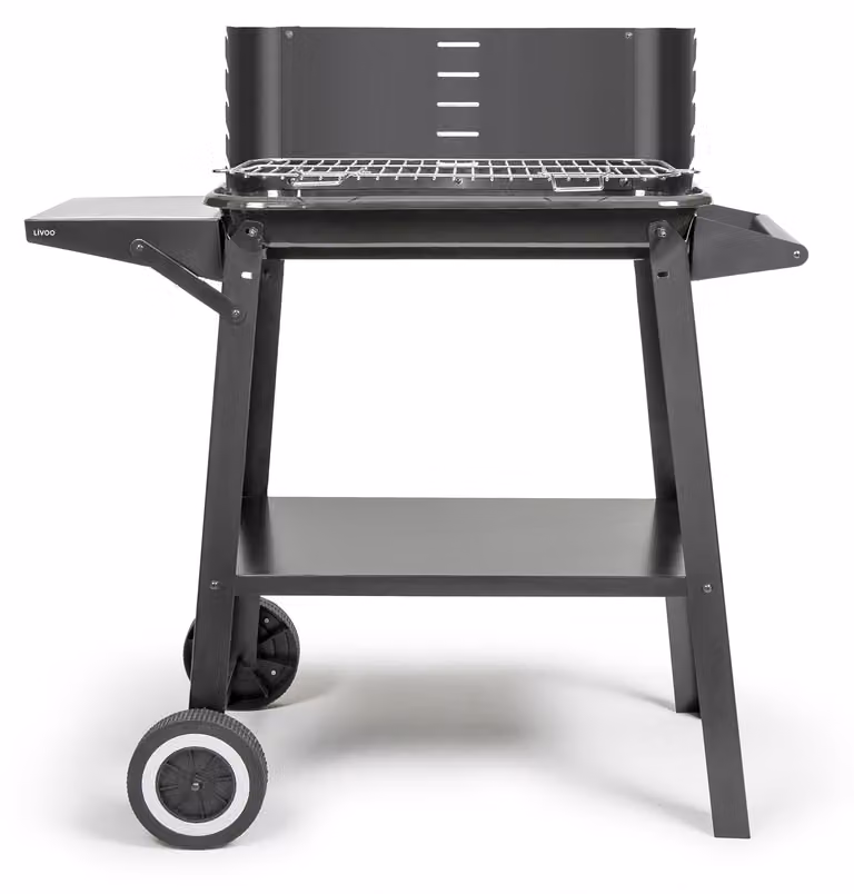 Barbecue a carbonella 48,5 x 28,8 cm Livoo DOC328