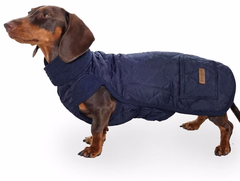 Cappotto caldo, antivento e impermeabile per cani di razza Dachshund di taglia grande, colore blu, taglia M