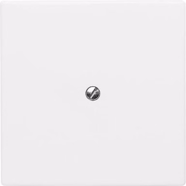 Busch-Jaeger 2138-34 Disco centrale cieco con anello di supporto per tutte le stagioni 44 bianco alpino